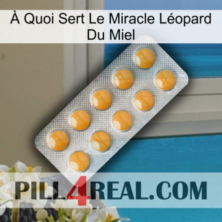 À Quoi Sert Le Miracle Léopard Du Miel levitra1